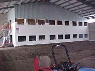 18 new windows