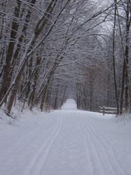 Galena River Trail South