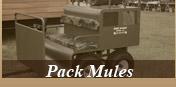Pack Mules