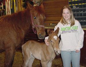 Le Piers' Horses
