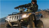 2008 Arctic Cat Thunder Cat ATVs