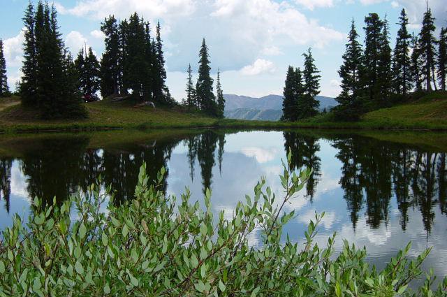 Paradise Divide/Gunsite Pass in background