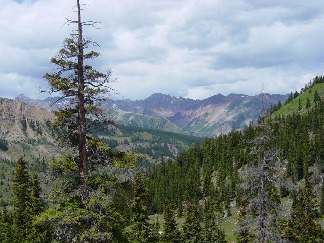Aspen side of Taylor Pass - Thursday
