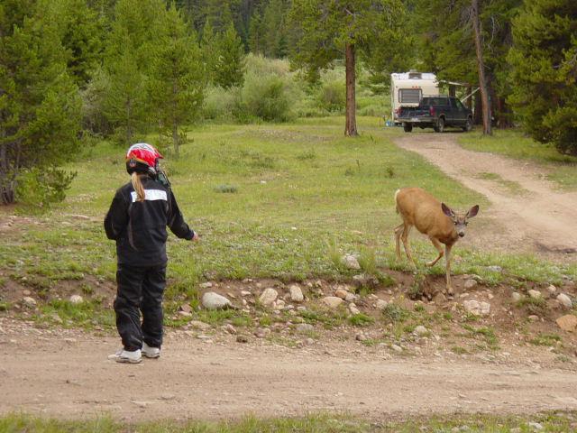 Camp robber checking us out - Thursday.