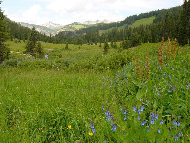 Old townsite of Scholfield - Wednesday