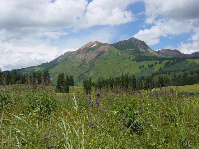 Gothic Mountain/Upper end of Natural Area - Wednesday