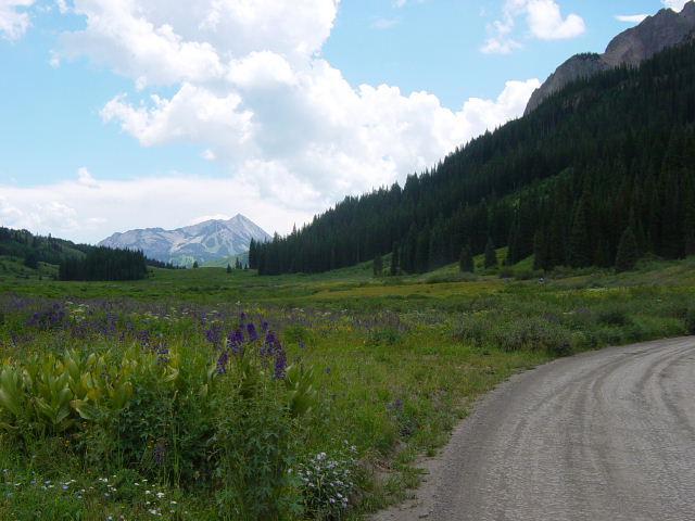 Gothic Natural Area/Crested Butte Ski Area in background