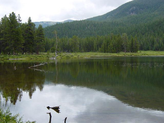 One of the Texas Lakes on Texas Creek - Friday