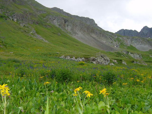 American Basin - Wednesday