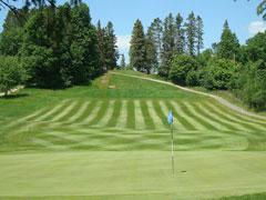 RCC Hole 10 Green
