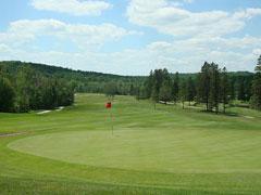 RCC Hole 14 Green