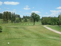 RCC Hole 14 Tee