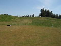 RCC Hole 9 Tee