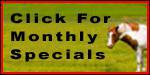 Click for monthly specials.