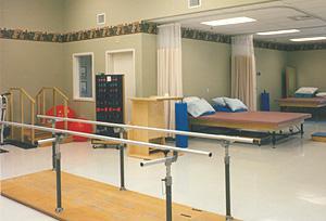 Physical Therapy