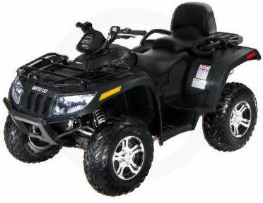 ATV Service - Lumberjack Shack