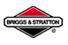 Briggs and Stratton