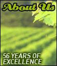 About Us - 56 years of excellence.