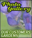 Photo Gallery - Our customers' gardens.
