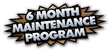 Six Month Maintenance Program
