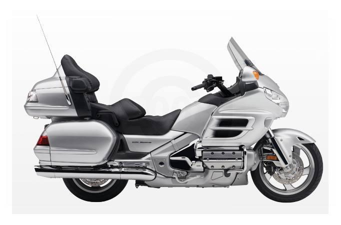 gold wing.jpg