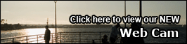 Priority One - Click here for financing.