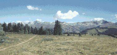 Dirt Rider Trail