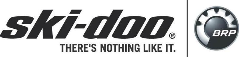 skidoologo.jpg