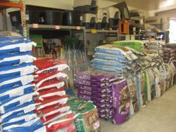 Show-Room.jpg