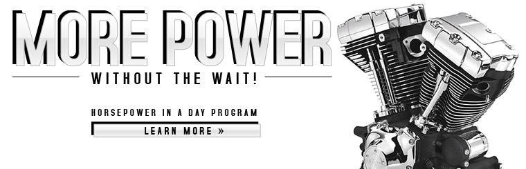 Check out our Horsepower in a Day Program!