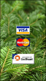 We accept Visa, MasterCard, Discover, and American Express. This site is secured by GeoTrust. Click on the GeoTrust logo to learn more.