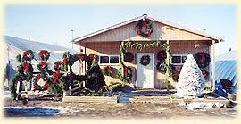 Balsam Wreaths