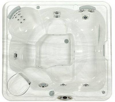 2009 Tiger River Spas Bengal 