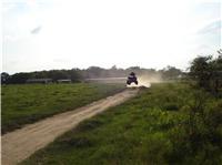 MUD BUDDIES 007.jpg