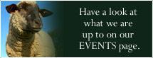 Have a look at what we are up to on our EVENTS page.