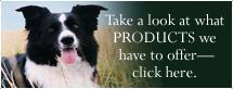 Take a look at what PRODUCTS we have to offer—click here.