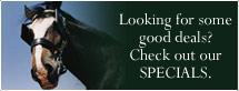Looking for some good deals? Check out our SPECIALS.