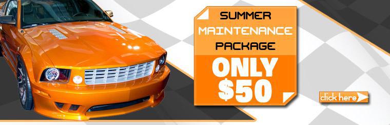 Click here to get our summer maintenance package for only $50!