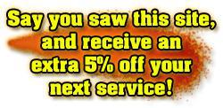 Say you saw this site and receive an extra 5% off your next service!