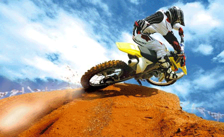 Suzukiheader.gif