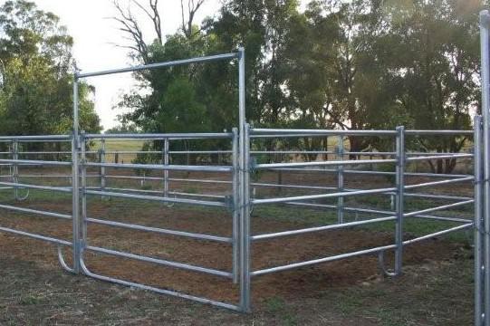 Portable Cattle Panels.jpg
