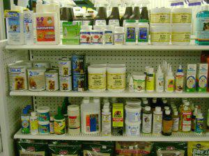 Canine Health