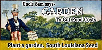 garden.jpg
