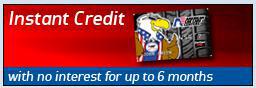 Instant credit with no interest for up to 6 months.