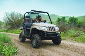 arctic cat2.jpeg