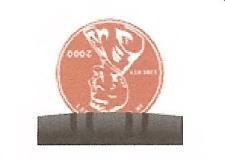PENNY TEST.jpg