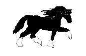 BLACK HORSE RUN.gif