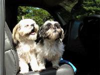 Suki and Ching
