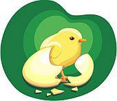 chick and egg.jpg
