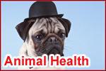 Animal Health